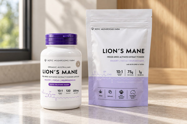 lions mane capsules and extract powder compared for buying at a chemist or online