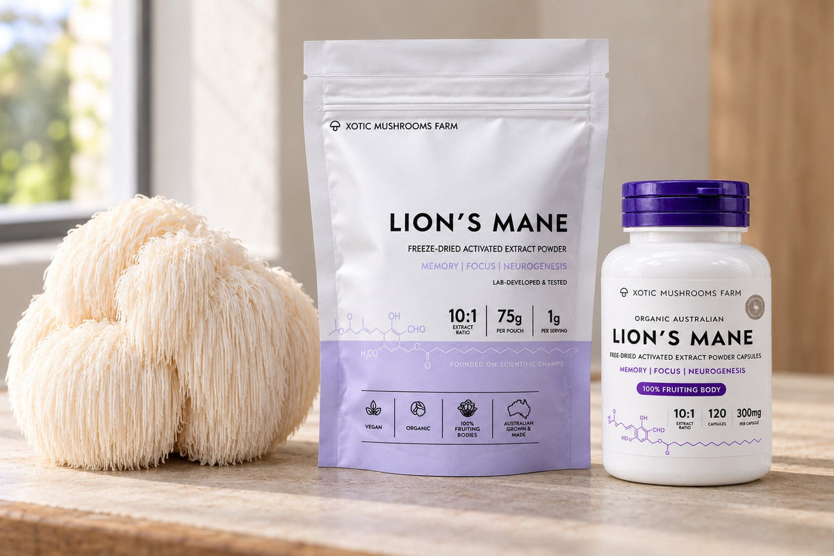 where to buy lions mane mushroom in australia, fresh, powder and capsules