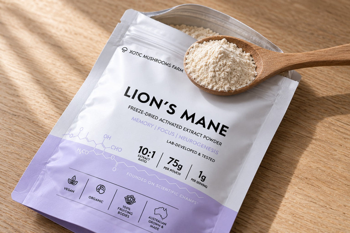 lions mane powder in a wooden spoon beside an extract powder pouch