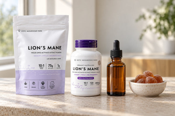 Lion's Mane supplement formats compared: powder, capsules, liquid and gummies