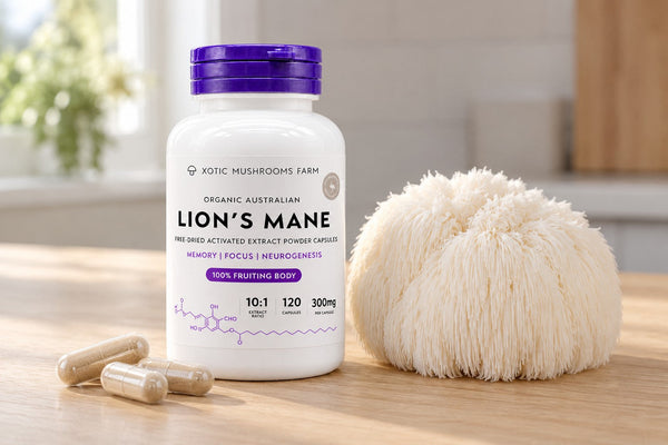 lions mane capsules beside a fresh Lion's Mane fruiting body