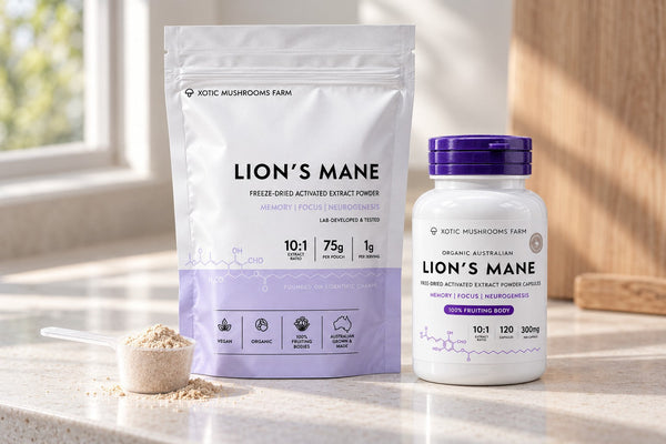 lions mane powder vs capsules side by side on a kitchen bench