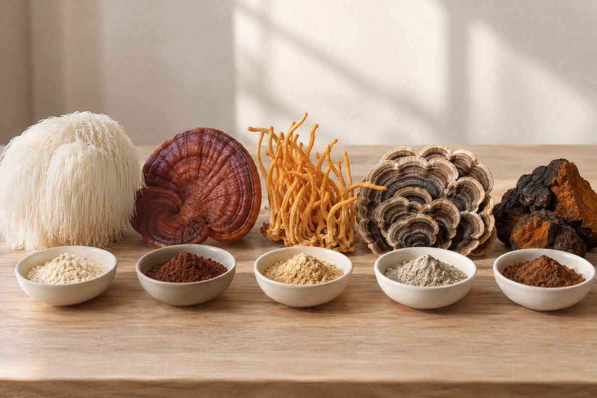 functional mushrooms australia guide showing lions mane, reishi, cordyceps, turkey tail and chaga