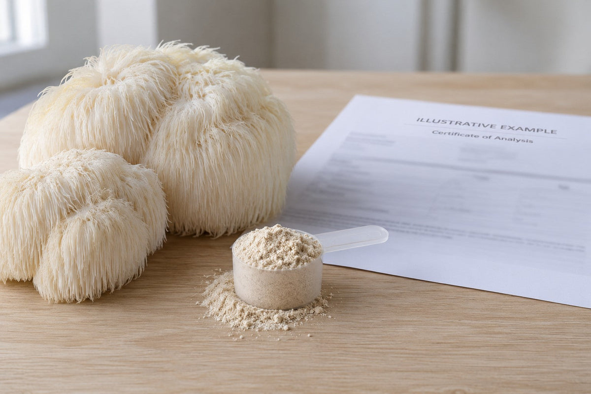 Illustrative image of checking mushroom extract quality in Australia with a lab certificate