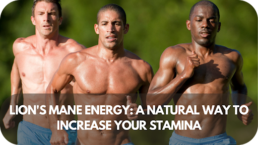 Lion’s Mane Energy: The All-Natural Stamina Boost You’ve Been Waiting For!