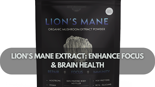Lion's Mane Extract: Enhance Focus & Brain Health