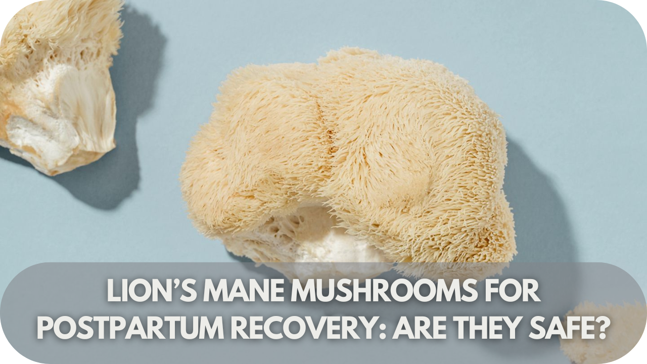 Lion’s Mane Mushrooms for Postpartum Recovery: Are They Safe?