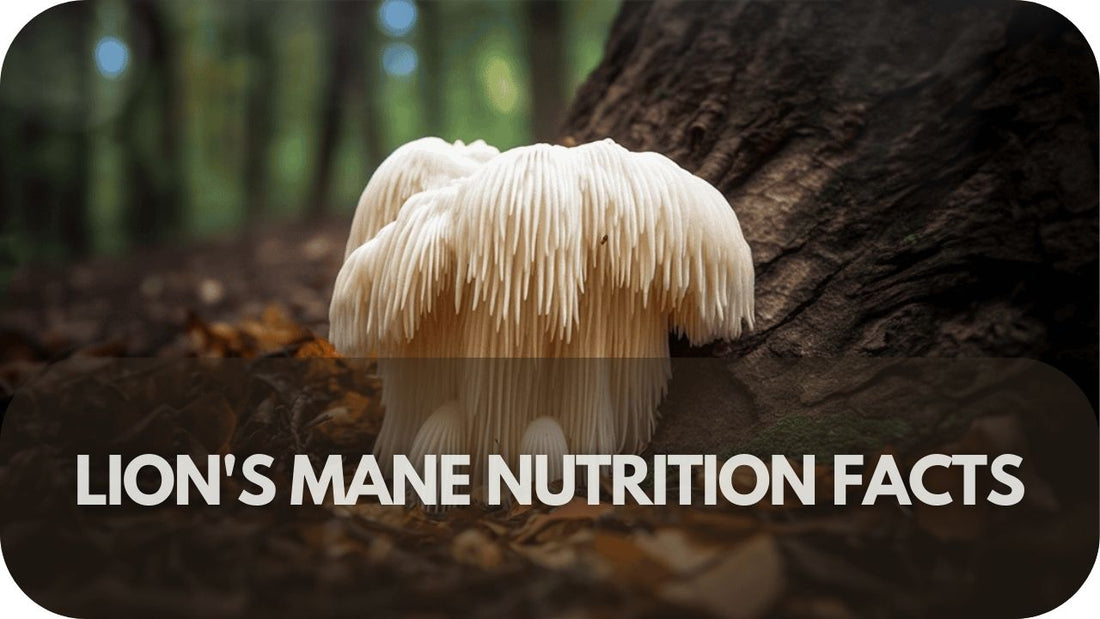 Lion's Mane Nutrition Facts