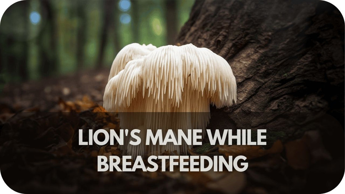 Lion's Mane While Breastfeeding: Safety and Benefits