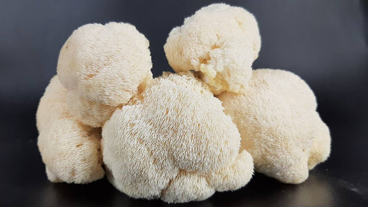 Exploring the Synergy: Lion’s Mane and Other Superfoods for Optimal Health