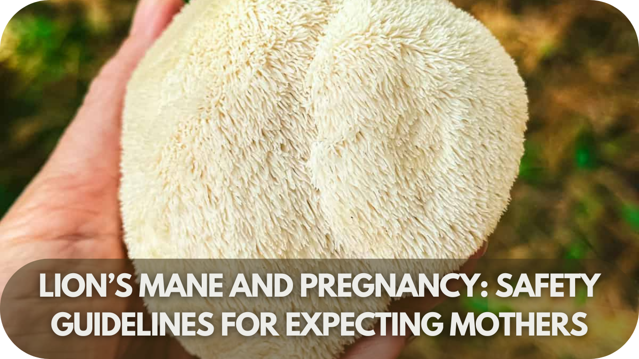 Lion’s Mane and Pregnancy: Safety Guidelines for Expecting Mothers!