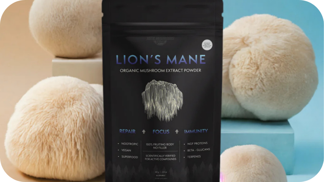 Lion's Mane's Impact On Anxiety And Depression