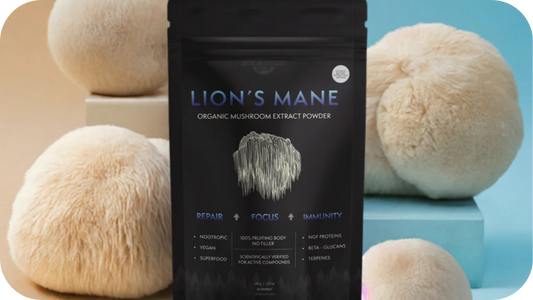 Lion's Mane's Impact On Anxiety And Depression