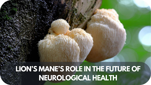 Lion’s Mane’s Role in the Future of Neurological Health