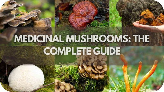 Medicinal Mushrooms: The Complete Guide