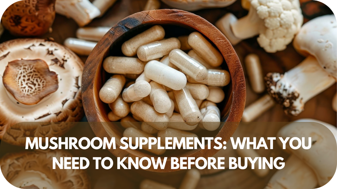 Mushroom Supplements What You Need To Know Before Buying!