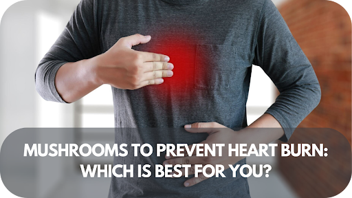 Mushrooms To Prevent Heart Burn: Which Is Best For You?