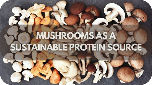 Mushrooms as a Sustainable Protein Source