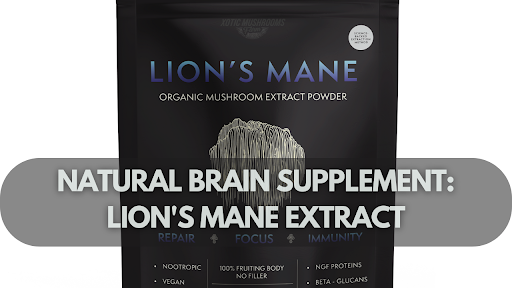 Natural Brain Supplement: Lion's Mane Extract