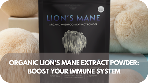 Organic Lion's Mane Extract Powder: Boost Your Immune System