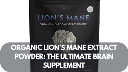 Organic Lion's Mane Extract Powder: The Ultimate Brain Supplement