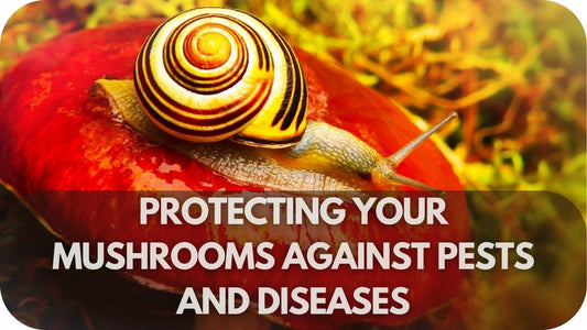 Protecting Your Mushrooms Against Pests and Diseases