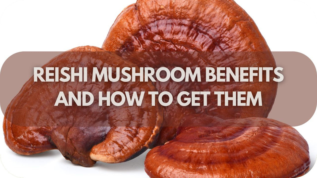 Reishi Mushroom Benefits and How to Get Them