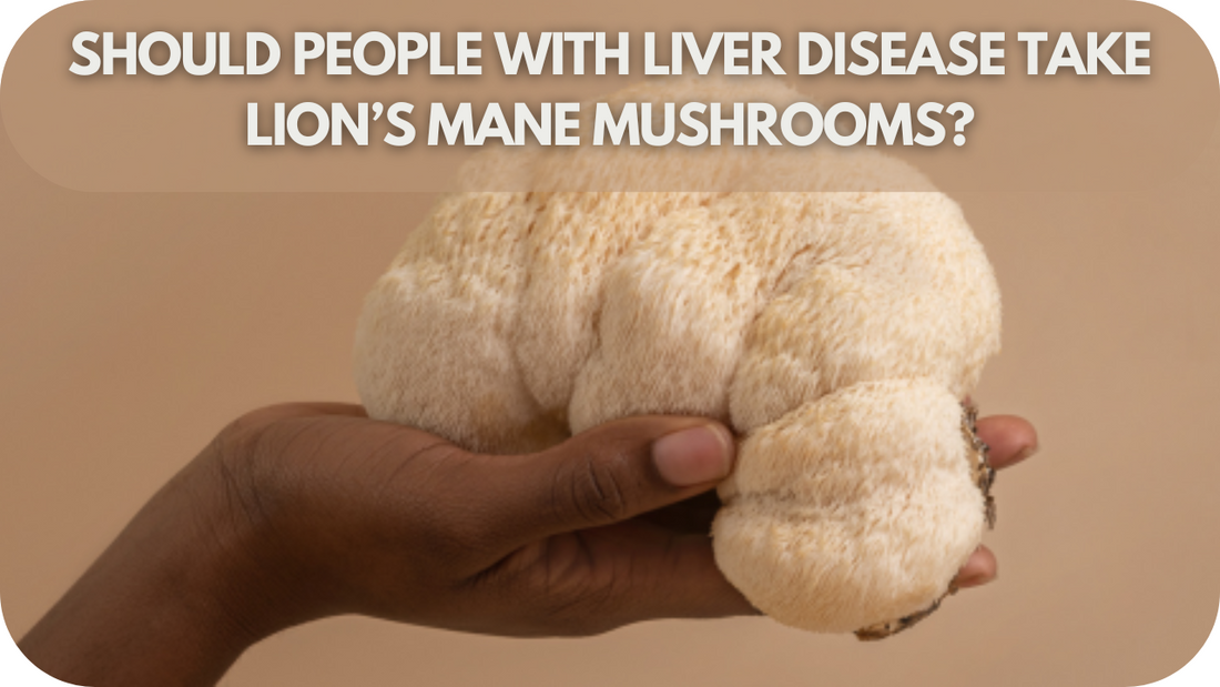 Should People with Liver Disease Take Lion’s Mane Mushrooms?