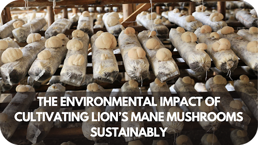 The Environmental Impact of Cultivating Lion’s Mane Mushrooms Sustainably