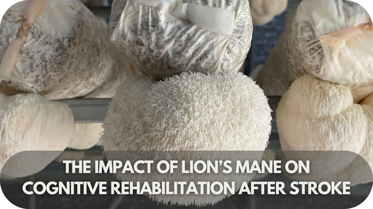 Lion’s Mane mushroom benefits for cognitive recovery after stroke.
