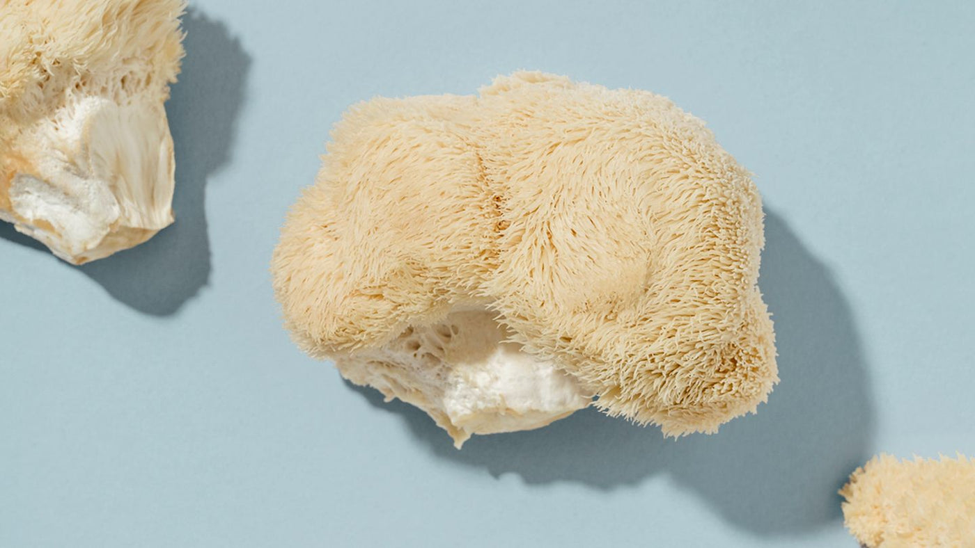 Can Lion’s Mane Mushrooms Support Heart Health? Here's What Science Says