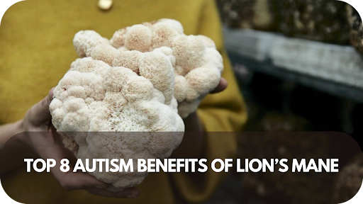 Top 8 Autism Benefits of Lion’s Mane