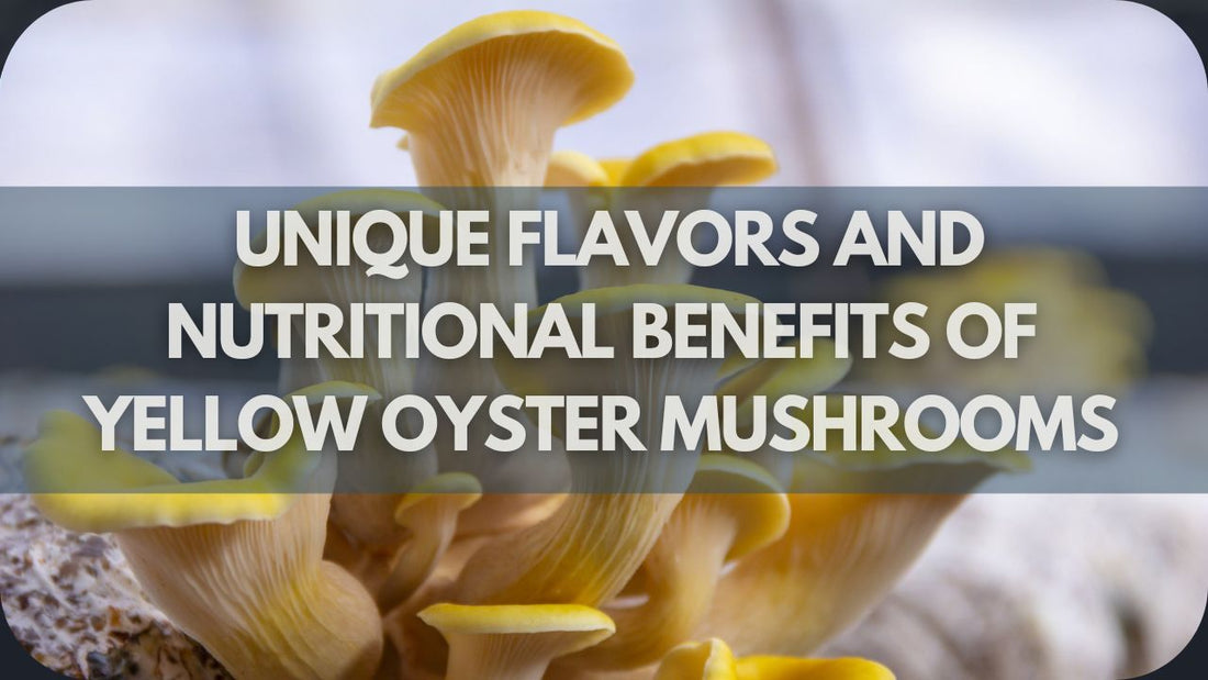 What Are the Unique Flavors and Nutritional Benefits of Yellow Oyster Mushrooms?
