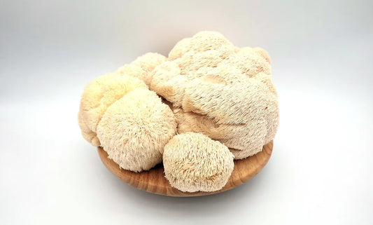 Where to Buy Lion's Mane Mushroom Powder in Bendigo