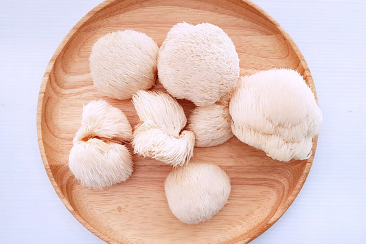 Where to Find Fresh Lion's Mane Mushrooms in Townsville