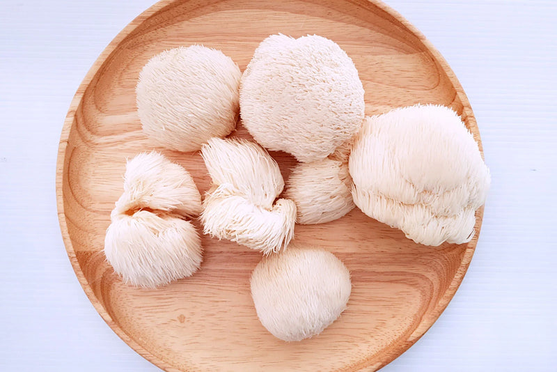 Where to Find Fresh Lion's Mane Mushrooms in Townsville