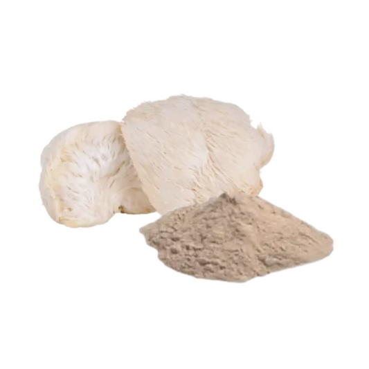 Where to Get Lion's Mane Mushroom Powder in Newcastle
