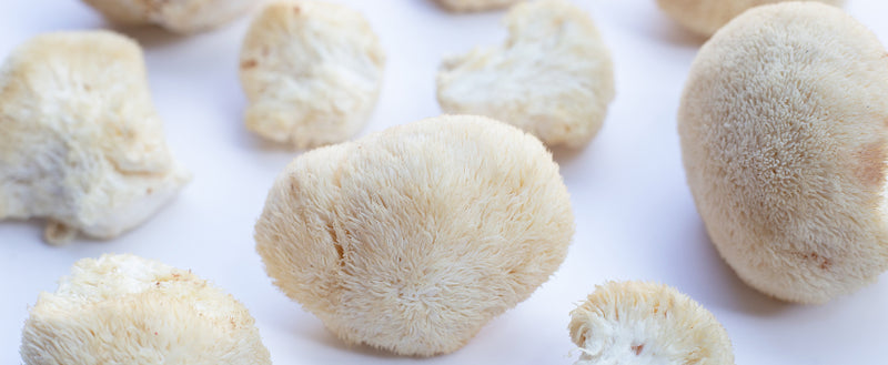 Where to Source Lion's Mane Mushroom Products in Wollongong