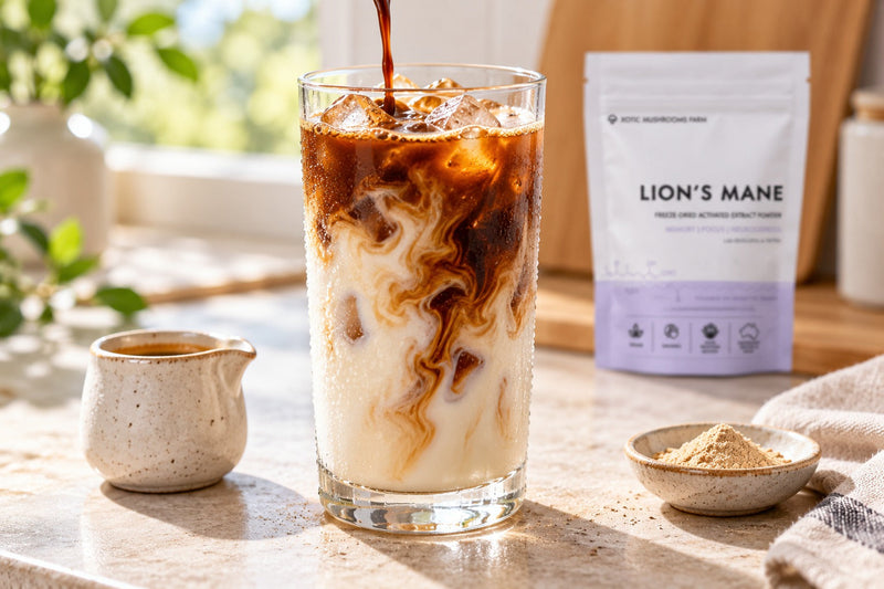 Iced mushroom coffee made with Lion's Mane extract powder