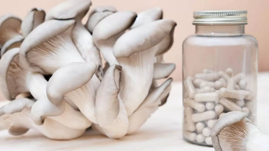 Choosing A Mushroom Supplement? Here’s 7 Things To Know - Xotic Mushrooms