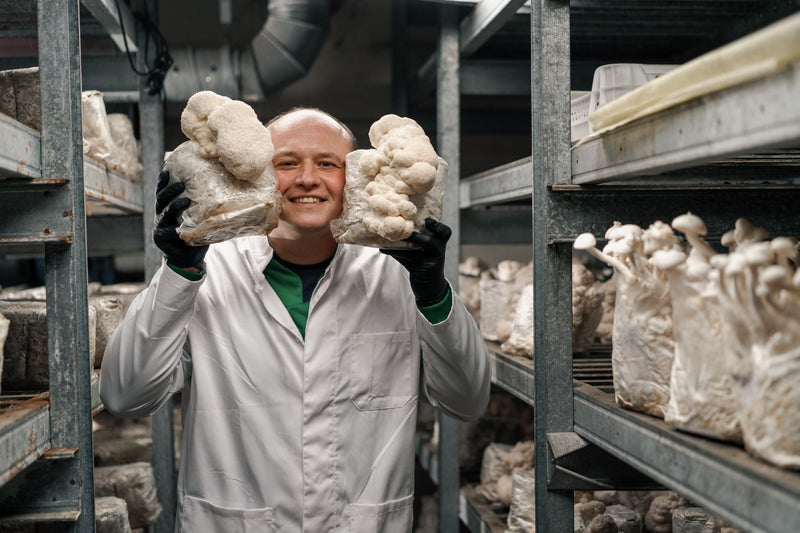 Mushroom farmer in a white lab coat and black gloves holding two Lion’s Mane fruiting blocks inside a commercial grow room lined with substrate bags.