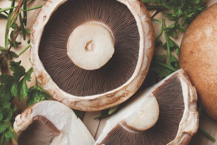 Health Benefits Of Portobello Mushrooms A Must Read Guide Xotic Mushrooms