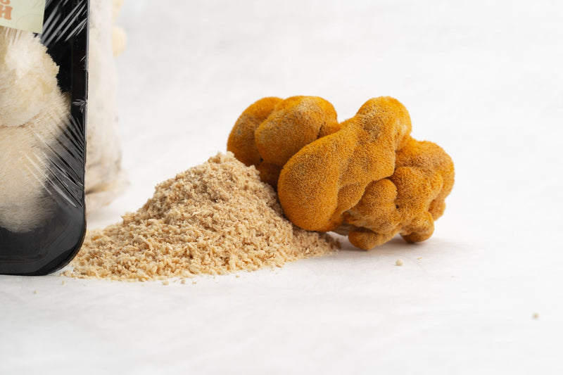 Lion’s Mane organic mushroom extract powder packaging displayed beside freshly harvested Lion’s Mane mushrooms on a processing floor.