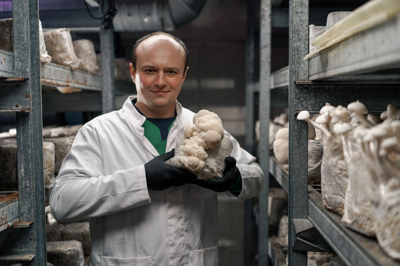 Mycologist holding a Lion’s Mane mushroom block inside a controlled grow room, demonstrating commercial mushroom cultivation and quality inspection.