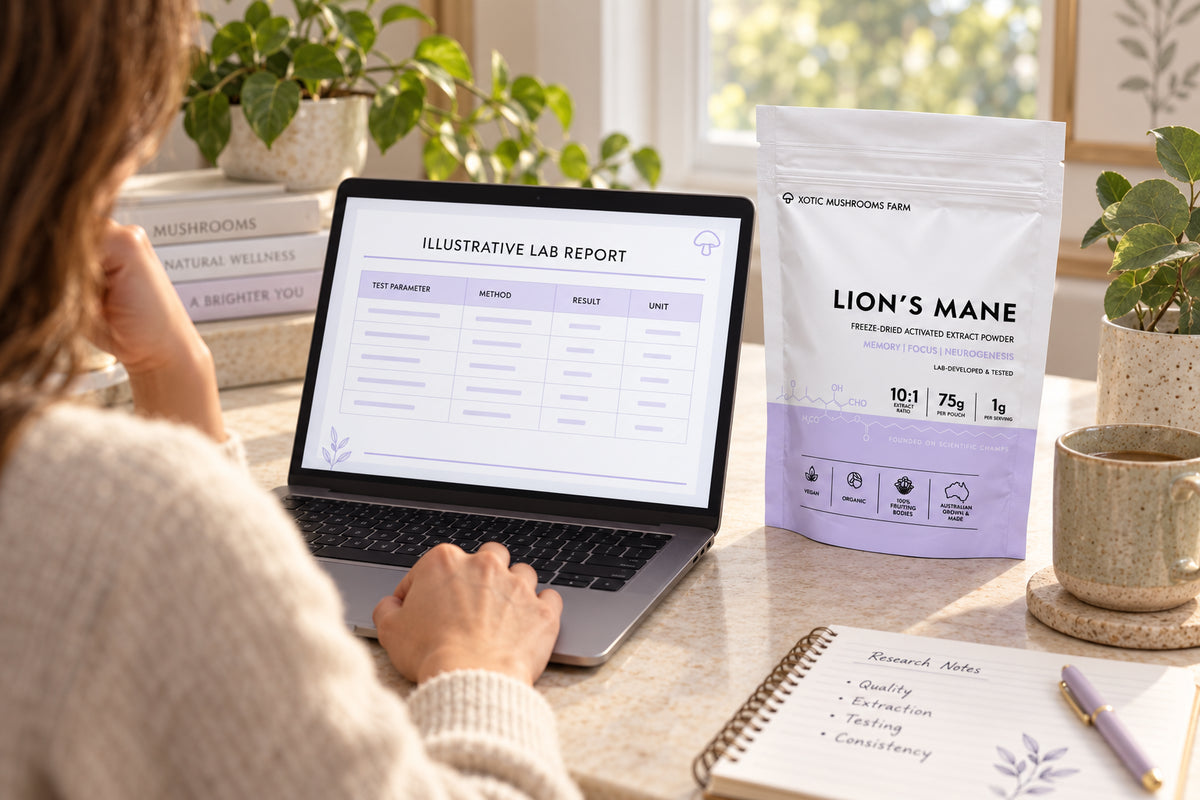 Illustrative scene of a person comparing a lab report with a Xotic Lion's Mane pouch