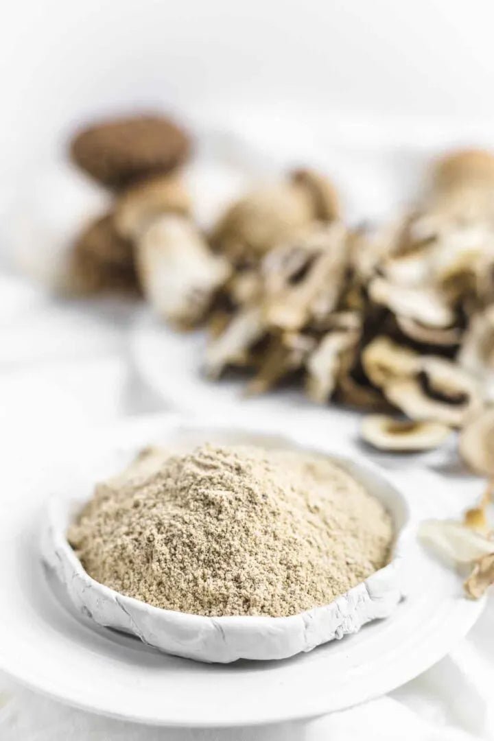 How to Make Mushroom Powder at Home in 4 Steps - Xotic Mushrooms