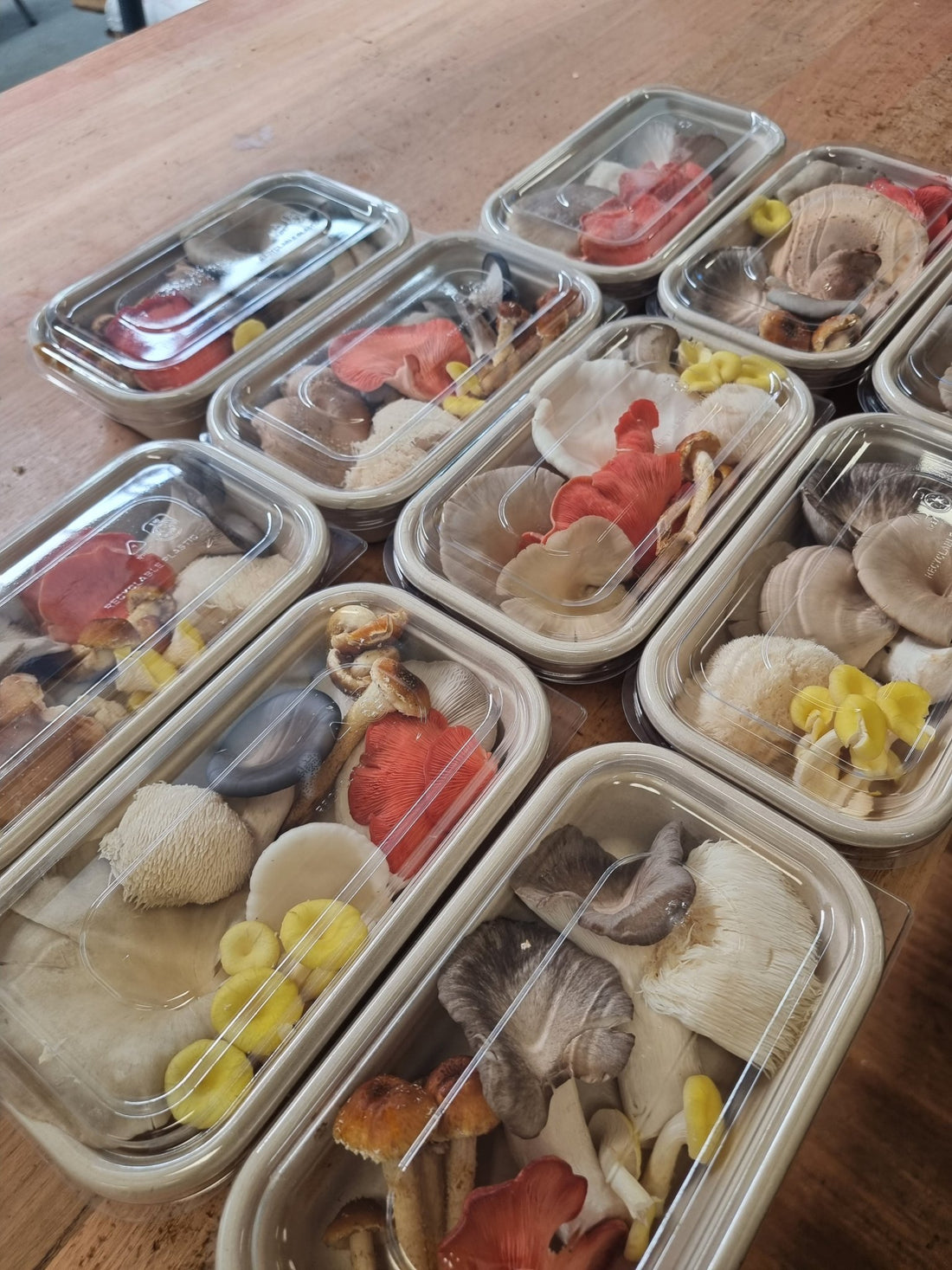 How to Store Fresh Mushrooms So They Don't Go Bad - Xotic Mushrooms