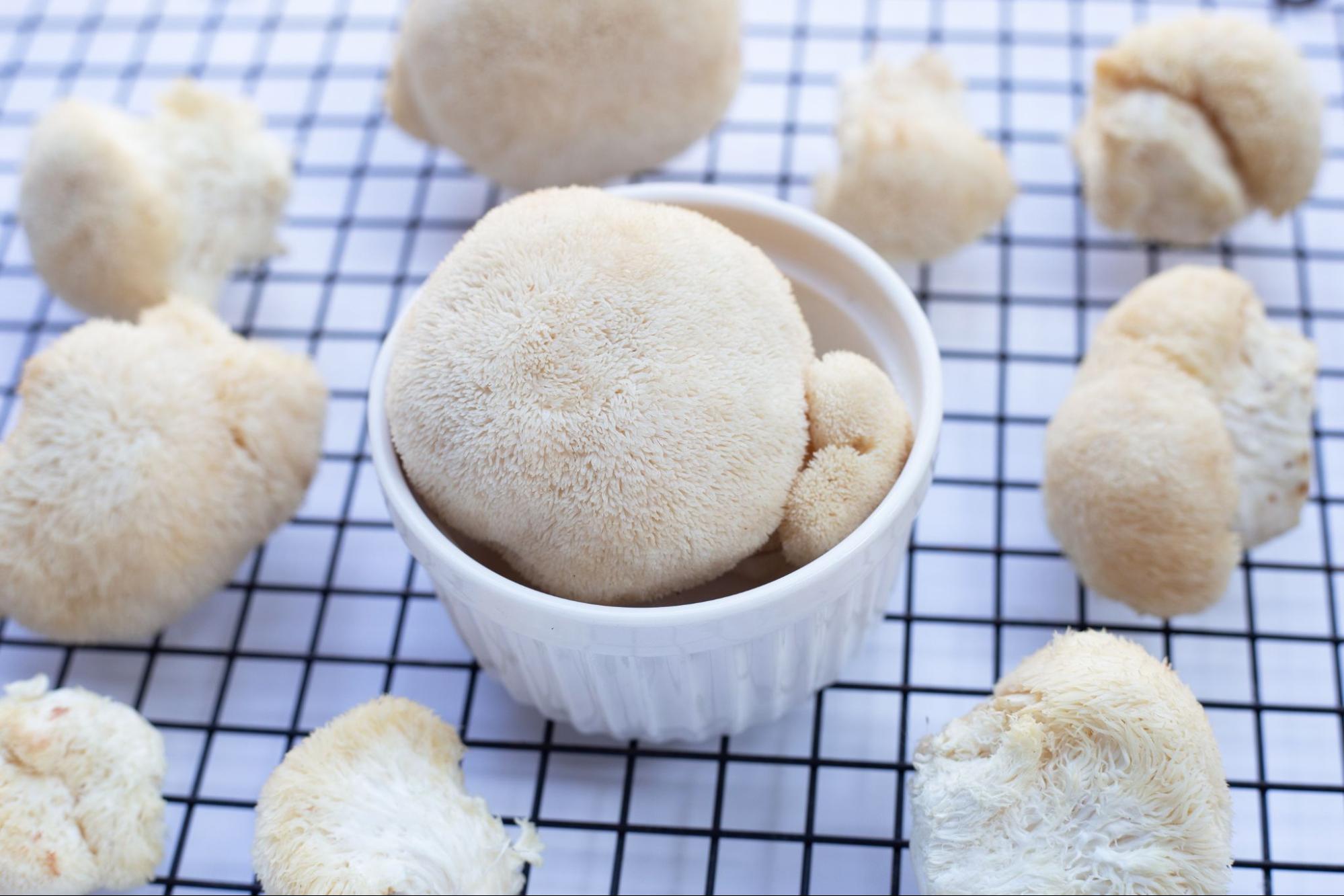 Fresh lion’s mane mushrooms arranged around a white ramekin on a cooling rack, highlighting their soft, spiky texture and creamy colour.