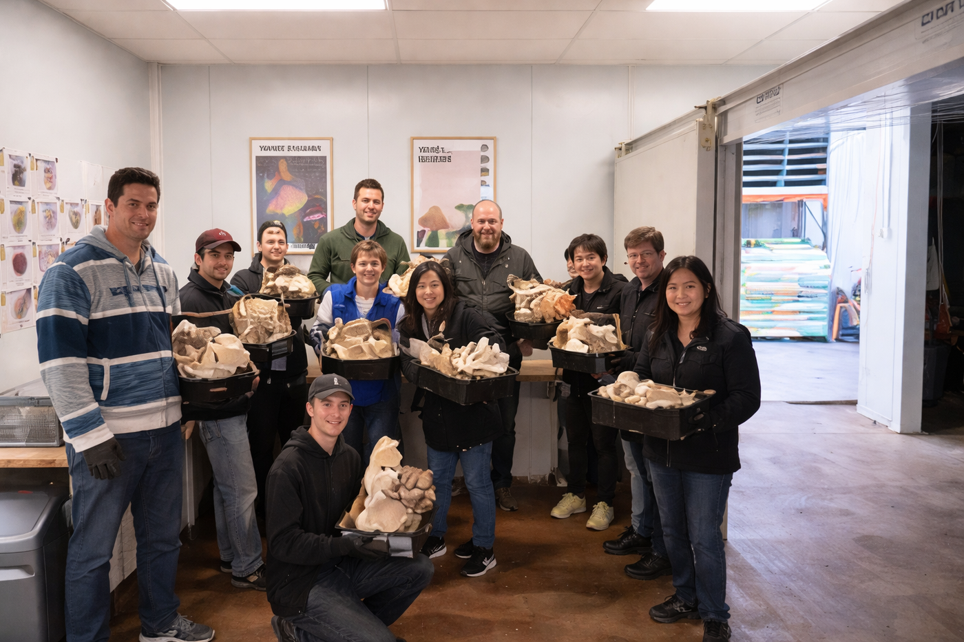 Group of mushroom farm staff posing indoors while holding trays of freshly harvested Lion’s Mane mushrooms.