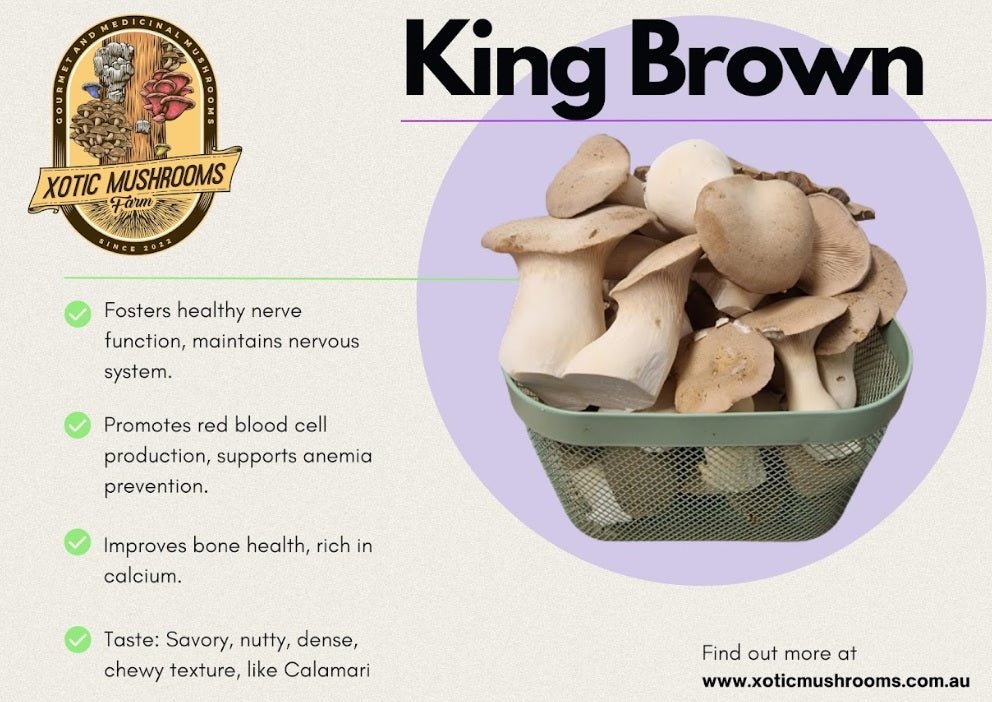 King Brown - Xotic Mushrooms